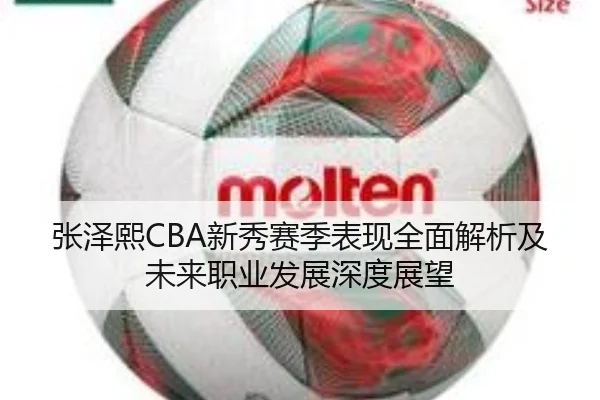 张泽熙CBA新秀赛季表现全面解析及未来职业发展深度展望 - Yide
